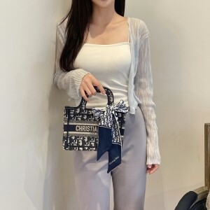 디올 북토트 미니백