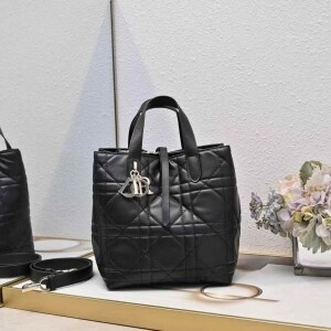 디올 뚜주흐 버티컬 미디움