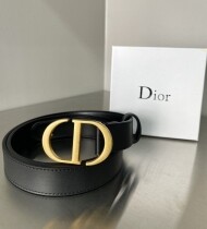 디올 몽테인 벨트