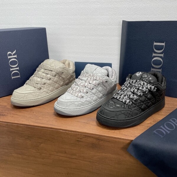 위핑,디올 ERL X DIOR B9S 남성 스니커즈